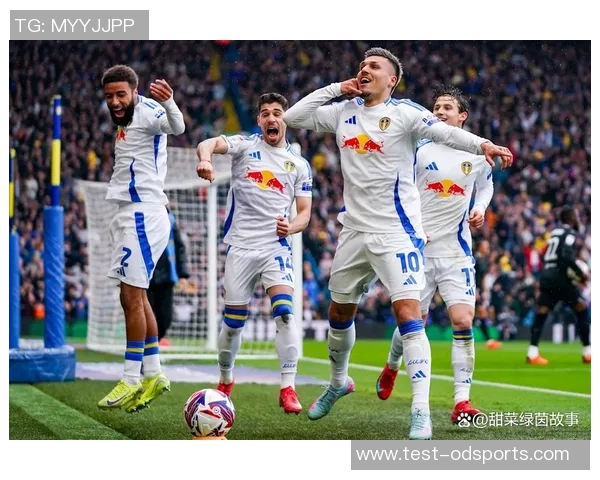 英冠激战布城迎战诺丁汉双方争夺季后赛名额的关键对决